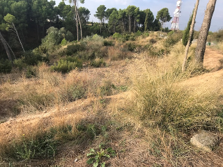 Otros en venta en Lleida de 0  m²