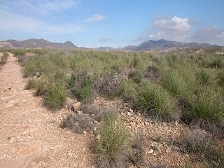 Otros en venta en Lucainena De Las Torres