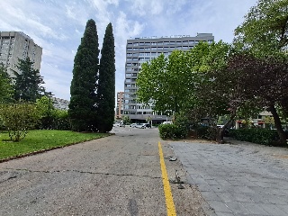 Castellana 8