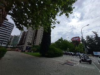 Castellana 10