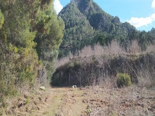 Pisos banco Quatretonda