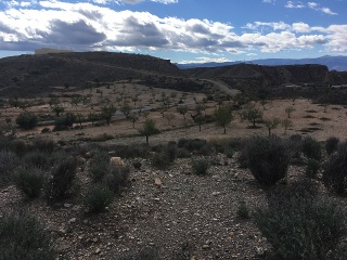 Proc. Simplificado 2