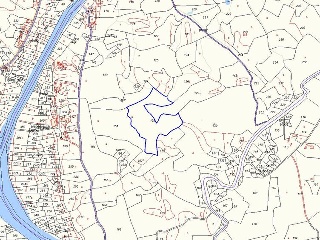 Proc. Simplificado 4