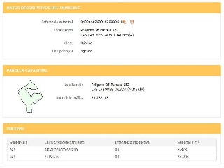 Proc. Simplificado 6
