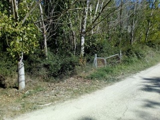 Proc. Simplificado 2