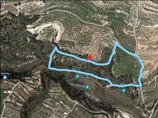 Proc. Simplificado 6