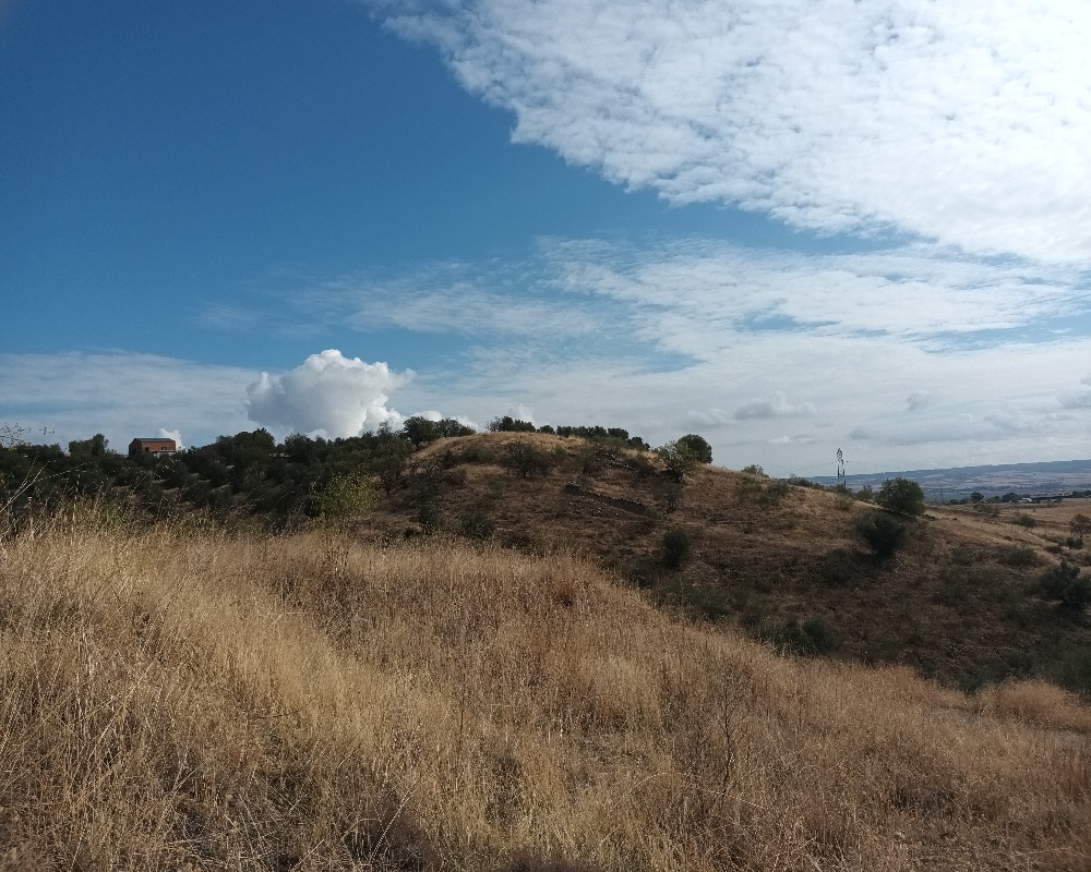Poligono 16-Rustica