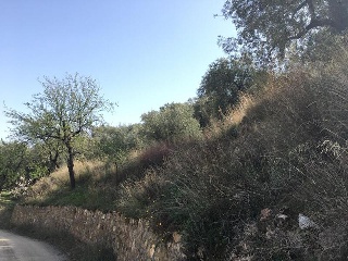 Gamonal. Huercal-Ugíjar 7
