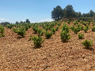 Pisos banco Venta del Moro