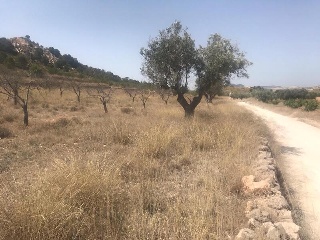 Pisos banco Abanilla