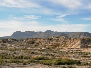 Pisos banco Abanilla