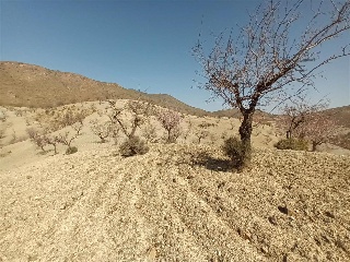 Pisos banco Huércal-Overa