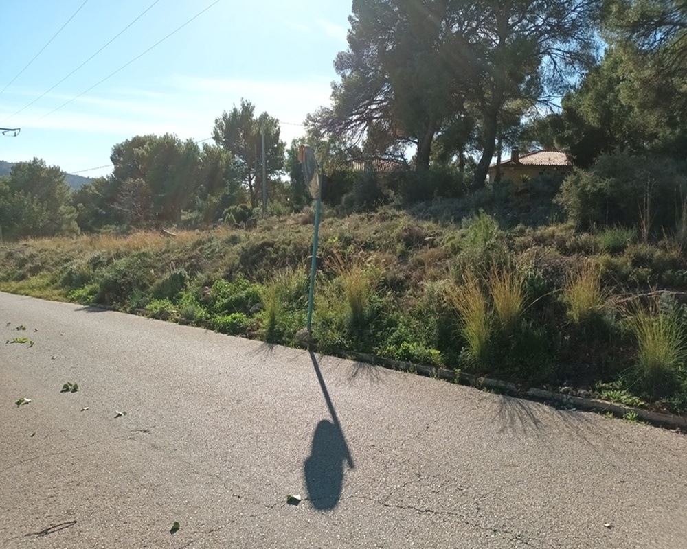 Poligono 36
