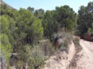 Otros en venta en Cervera Del Maestre