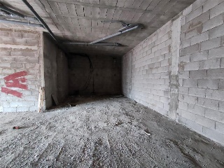 Fray Tomas De Berlanga 12