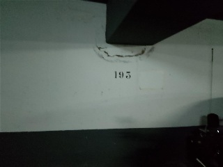 Prima Angelica, La 6