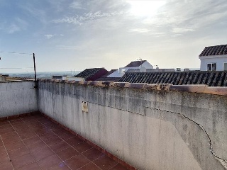 San Pedro 7