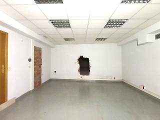 Rosa 10