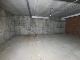 Rosa 12
