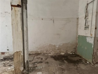 Canellas, Vidal De 6