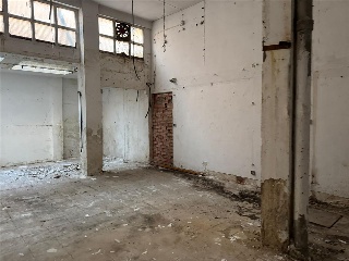 Canellas, Vidal De 8