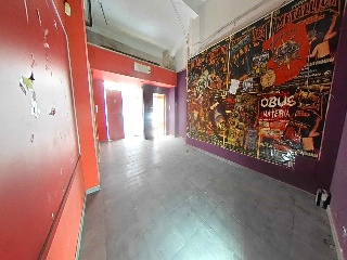 Canellas, Vidal De 5