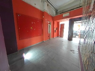 Canellas, Vidal De 6