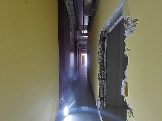 Canellas, Vidal De 9