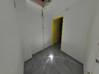 Canellas, Vidal De 24