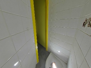 Canellas, Vidal De 29