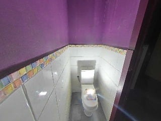 Canellas, Vidal De 40