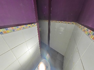 Canellas, Vidal De 41