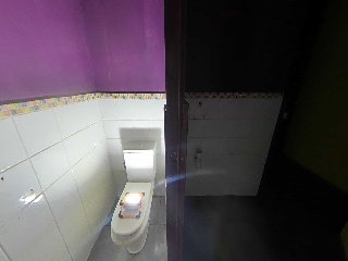 Canellas, Vidal De 43