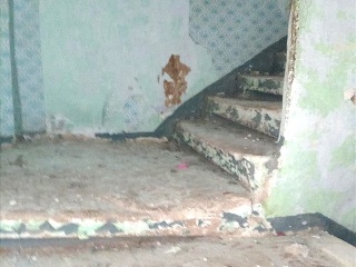 Horcerias 12