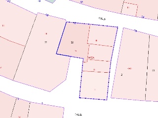 Mayor 11