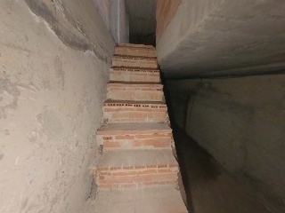 Palomar, Alejandro 16