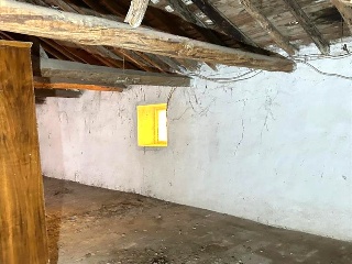 Solana 22
