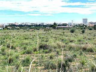 Pisos banco Castellón de la Plana/Castelló de la Plana