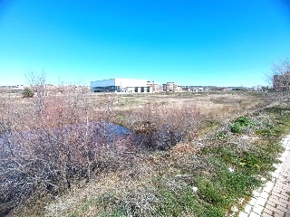 Banderas de Castilla 14