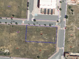 Banderas de Castilla 18