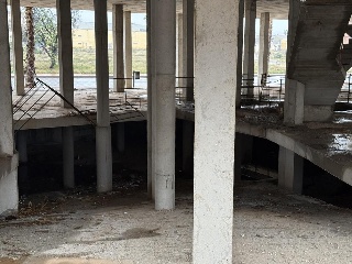 Javalí Viejo 4