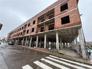 Javalí Viejo 5