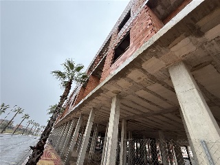 Javalí Viejo 2