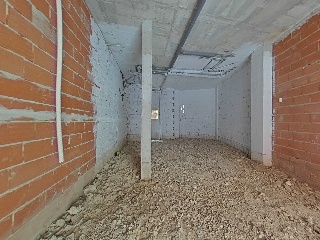 Cedaceros 3