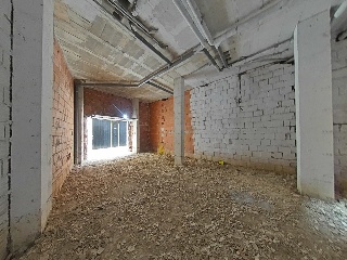 Cedaceros 5