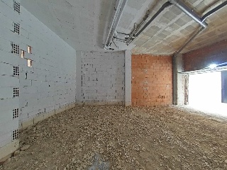 Cedaceros 9