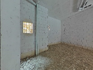 Cedaceros 10