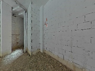 Cedaceros 11