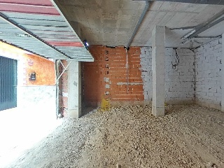 Cedaceros 12