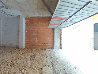 Cedaceros 13